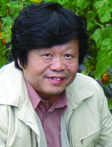 蔡東纂