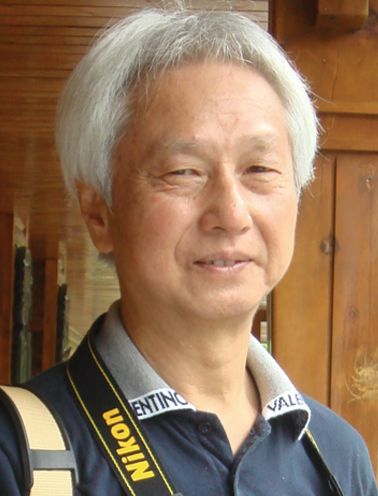 王震武